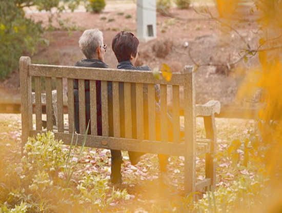 assistente familiare per compagnia anziani soli a biella