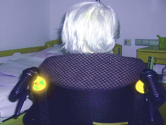 aiuto domestico anziani goriziani non autonomi